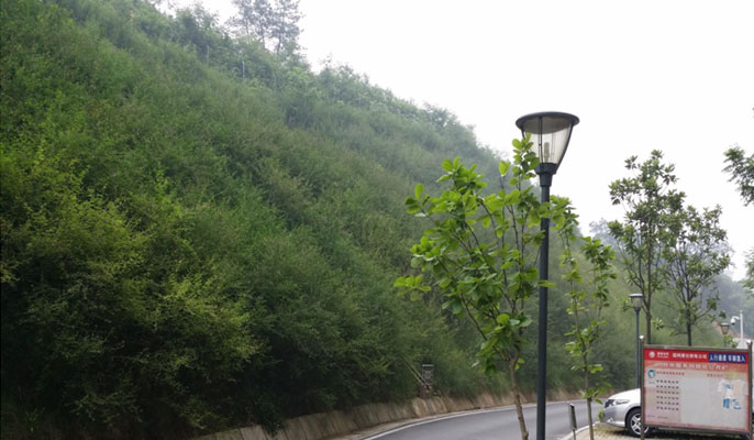 邊坡綠化中植物的配置原則與選擇標準